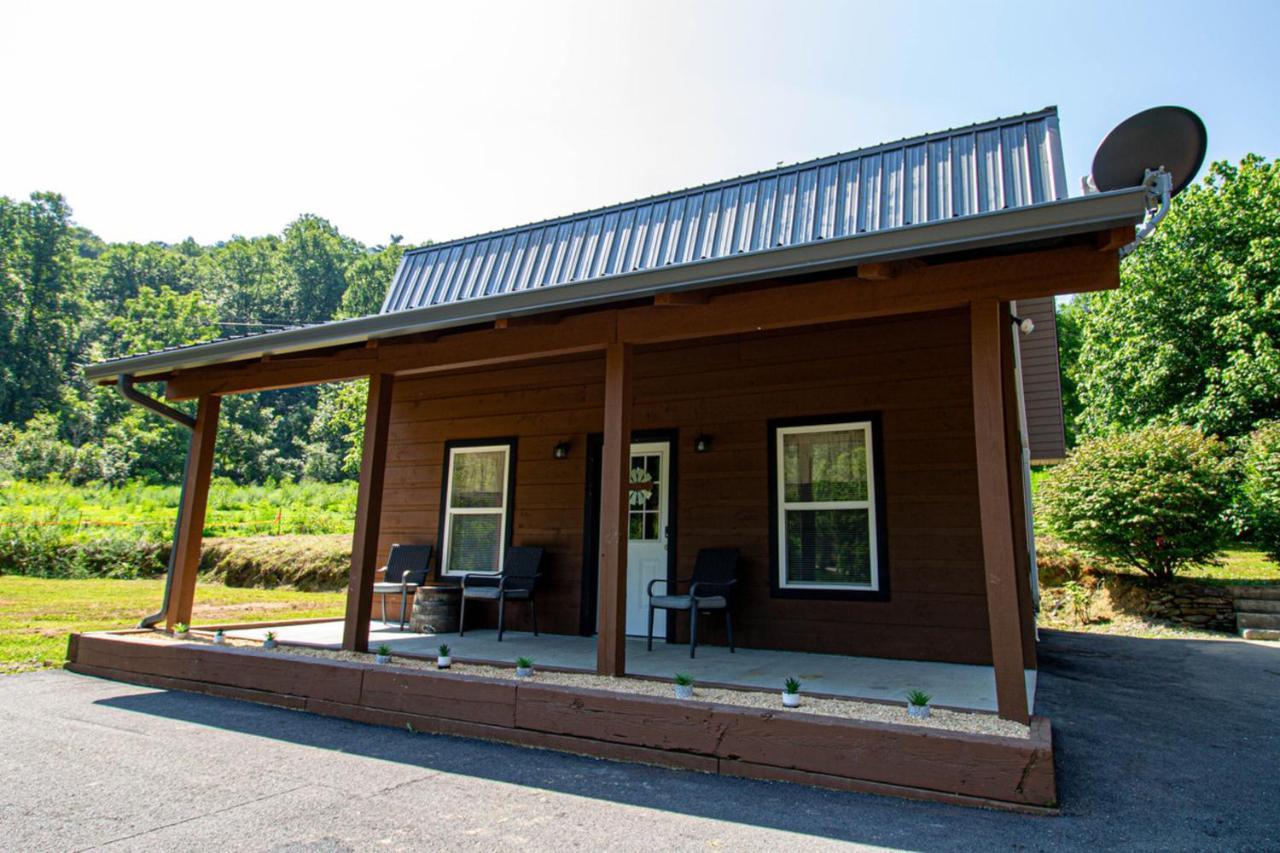 Mountain Haven Dragon'S Nest Cabin Robbinsville Esterno foto